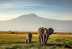 Insider Tips for an Unforgettable Kenya Safari Holiday