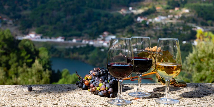 Tasting port wines at an esteemed quinta