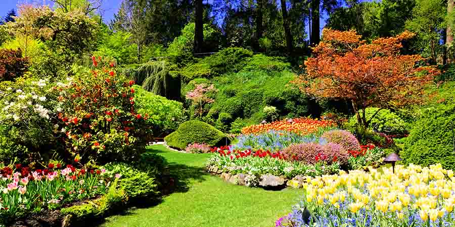 Touring Victoria and sipping tea in the beautiful Butchart Gardens